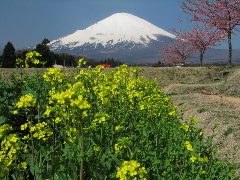 富士山画像記録