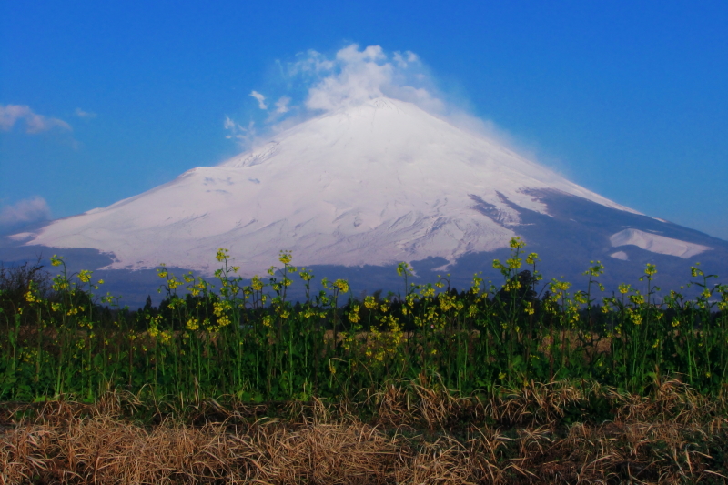 富士山画像記録