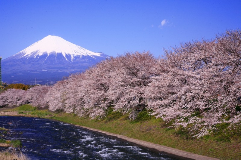 富士山画像作品