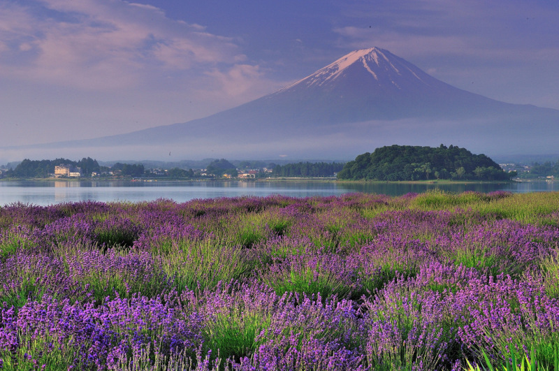 富士山画像作品