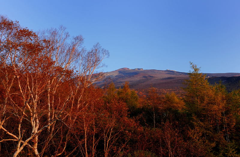 富士山画像作品