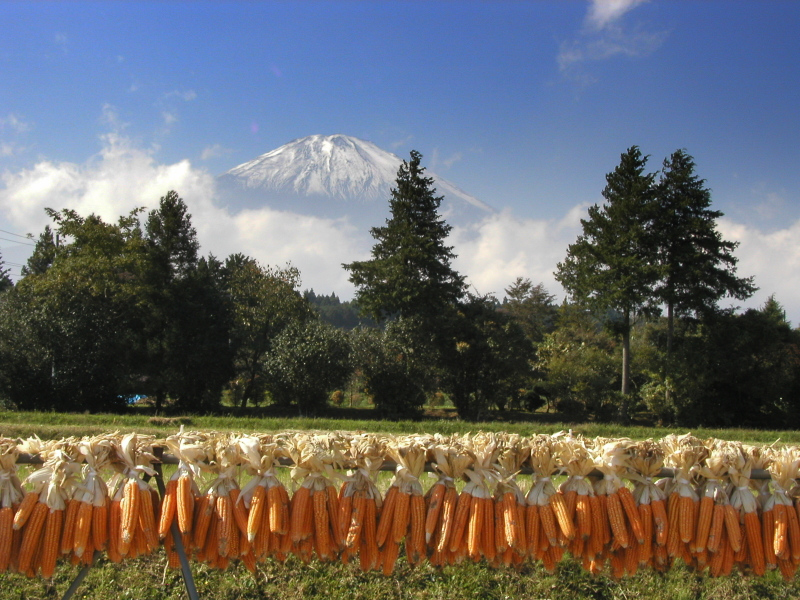 富士山画像記録