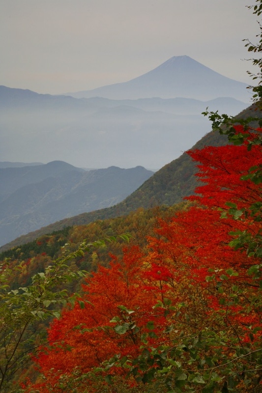 富士山画像作品