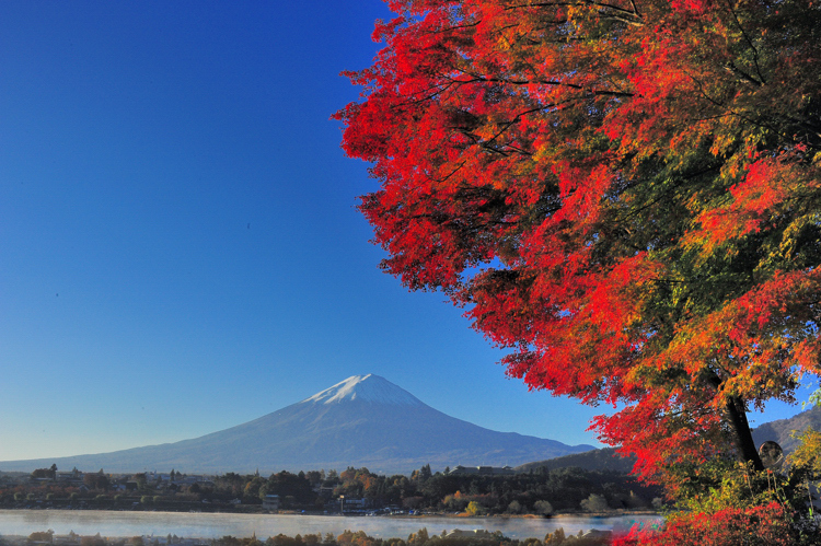 富士山画像作品