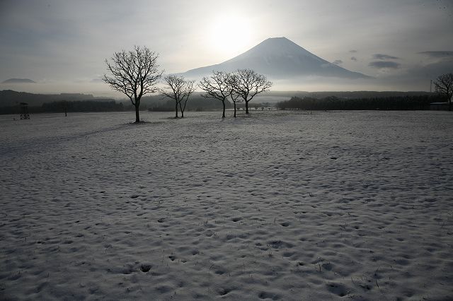 富士山画像作品