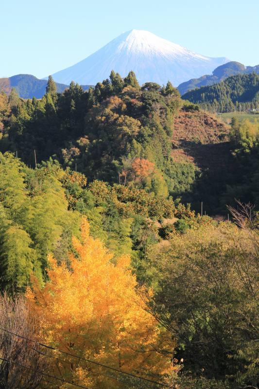 富士山画像記録