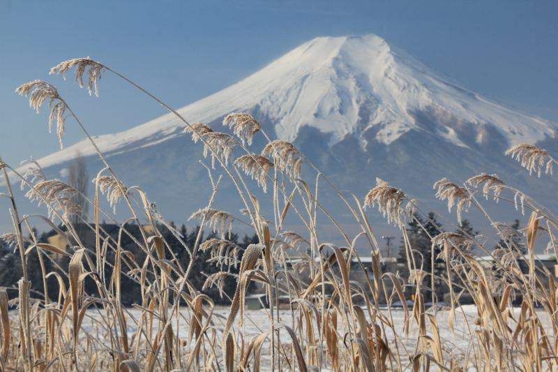 富士山画像記録