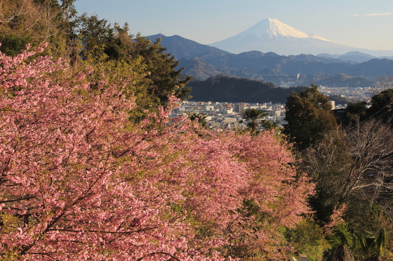 富士山画像記録