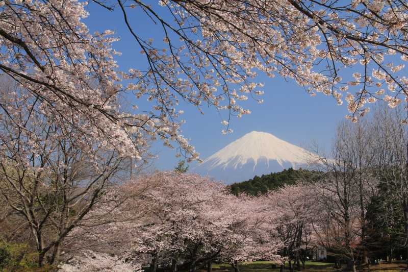 富士山画像記録