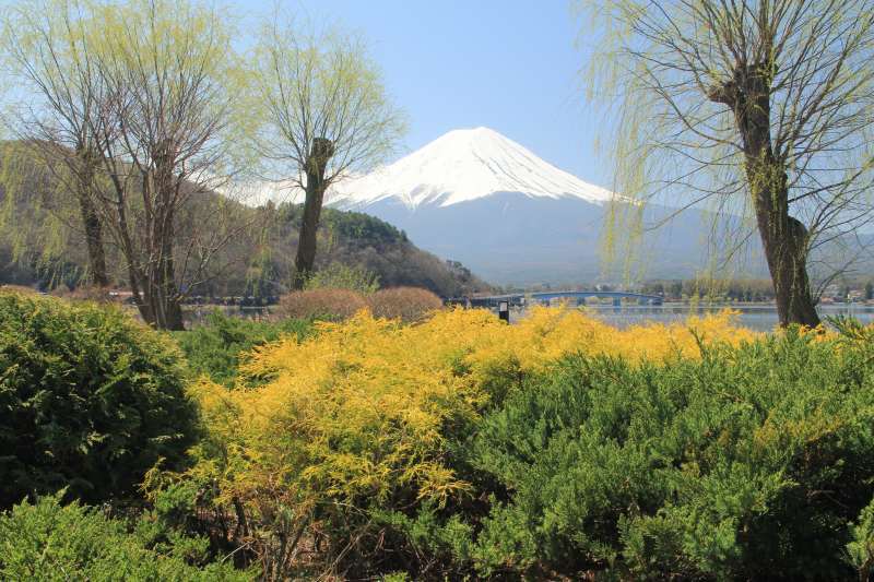 富士山画像記録