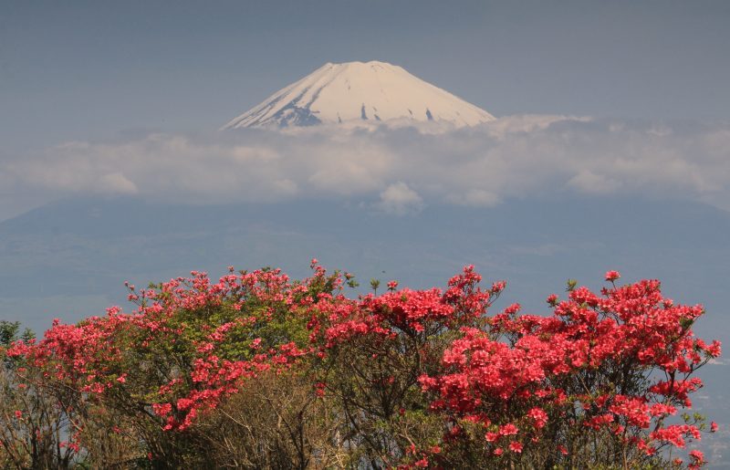 富士山画像記録