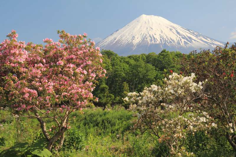 富士山画像記録