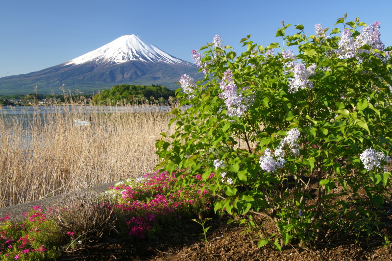 富士山画像作品