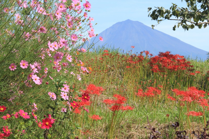 富士山画像記録