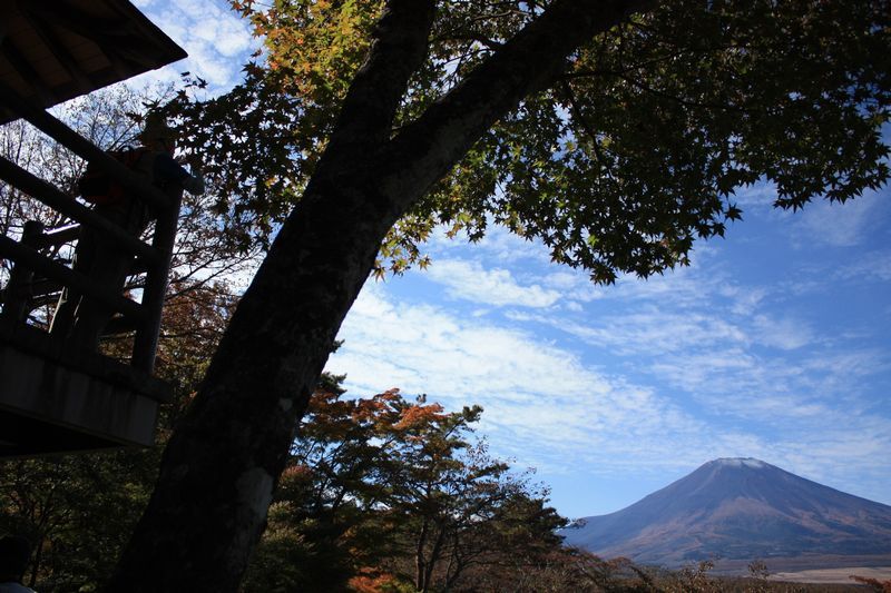 富士山画像作品