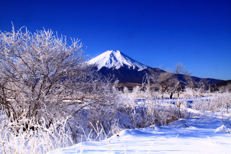 富士山画像記録