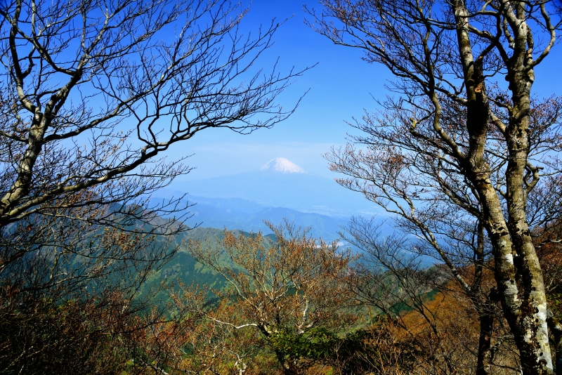 富士山画像作品