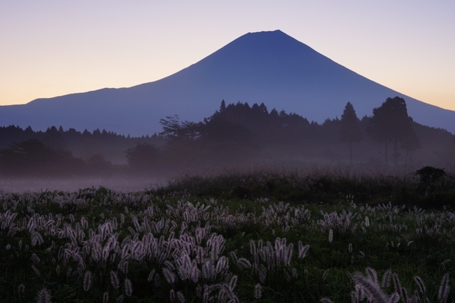 富士山画像作品