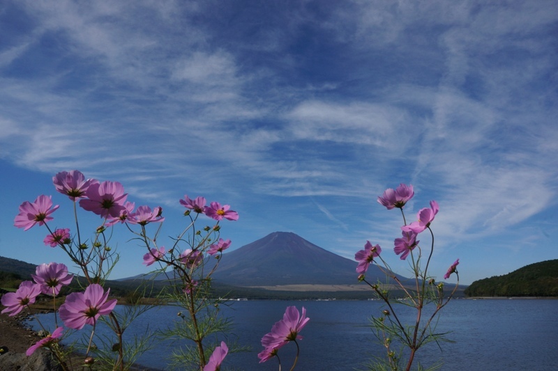 富士山画像記録