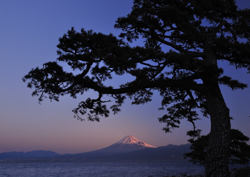 富士山画像作品