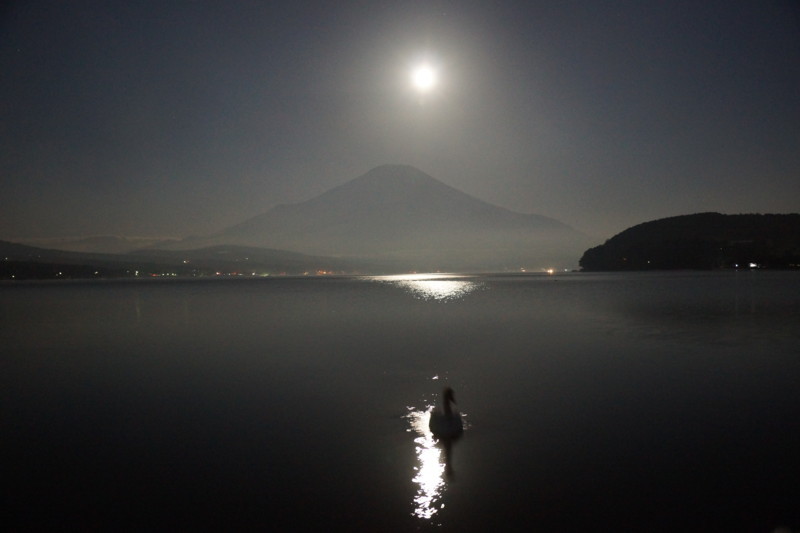 富士山画像記録