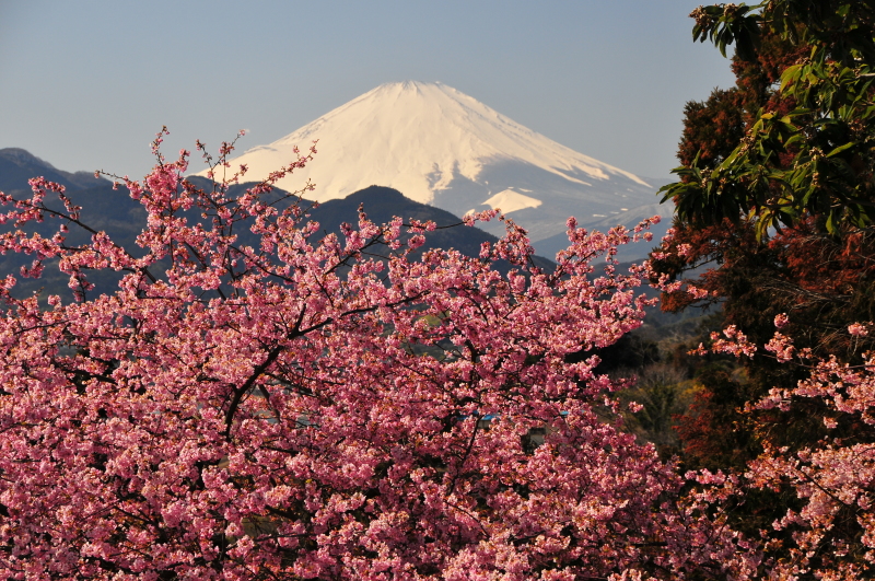 富士山画像記録