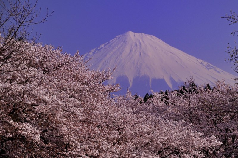 富士山画像作品