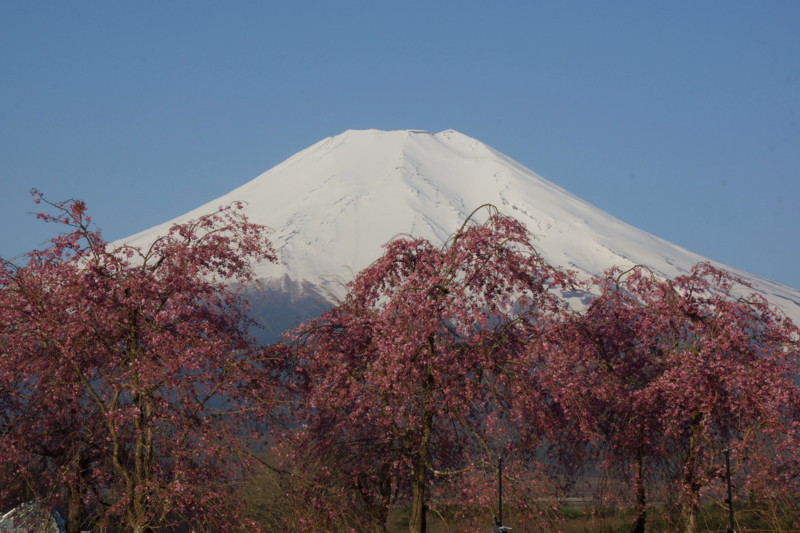 富士山画像記録