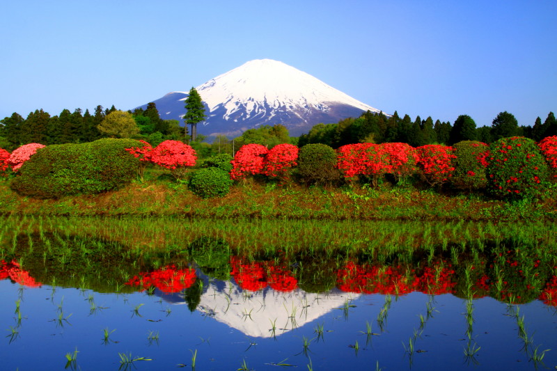 富士山画像作品