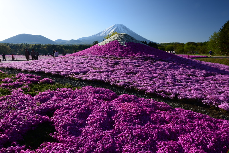 富士山画像記録