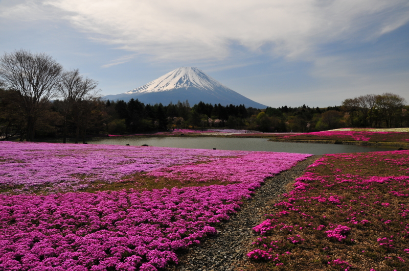 富士山画像記録