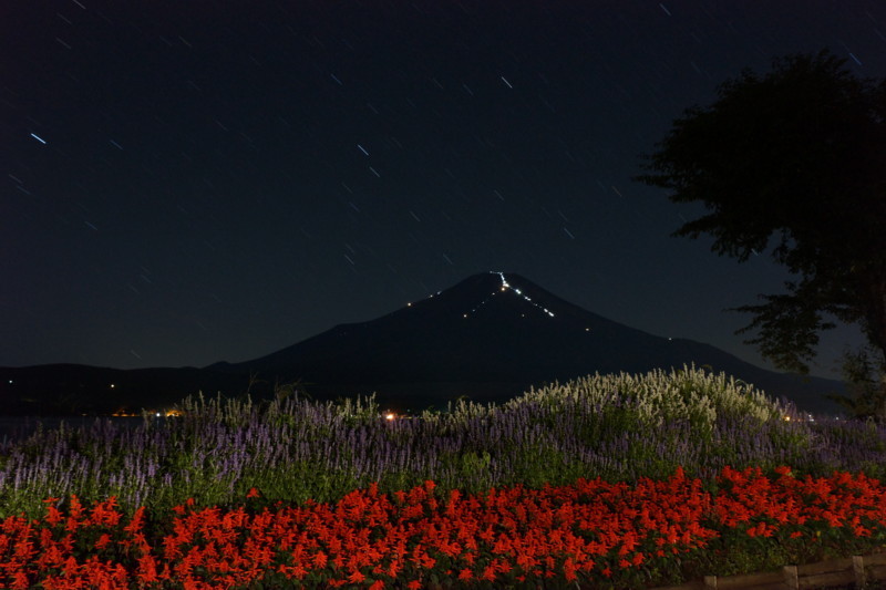 富士山画像記録