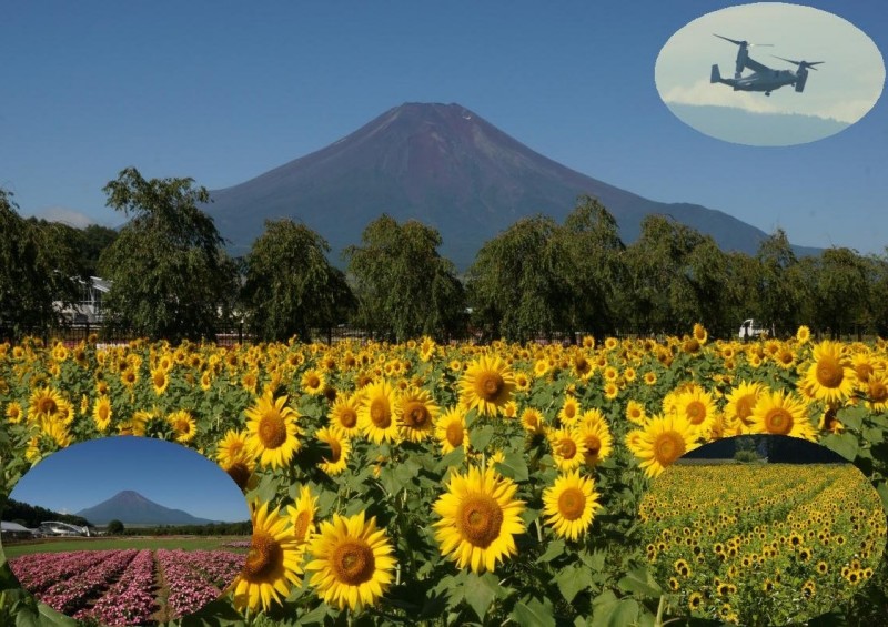 富士山画像記録