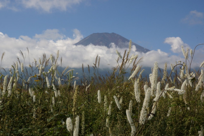 富士山画像記録