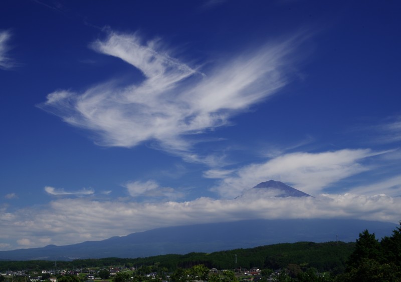 富士山・富士五湖なんかの投稿画像 - 鳳凰の舞う