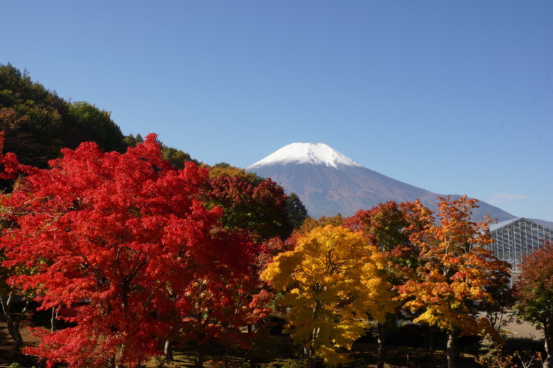 富士山画像記録