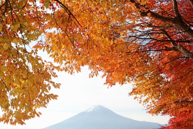 富士山画像作品