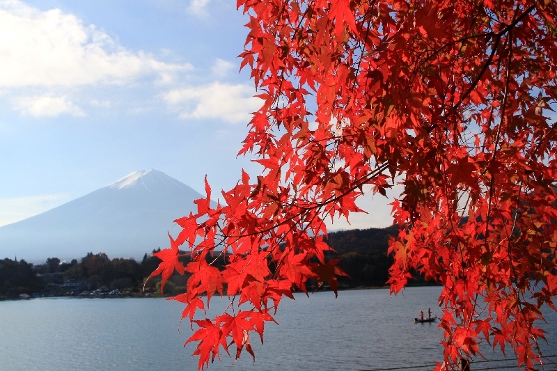 富士山画像作品