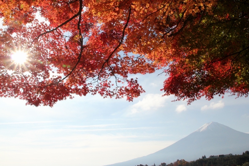 富士山画像作品