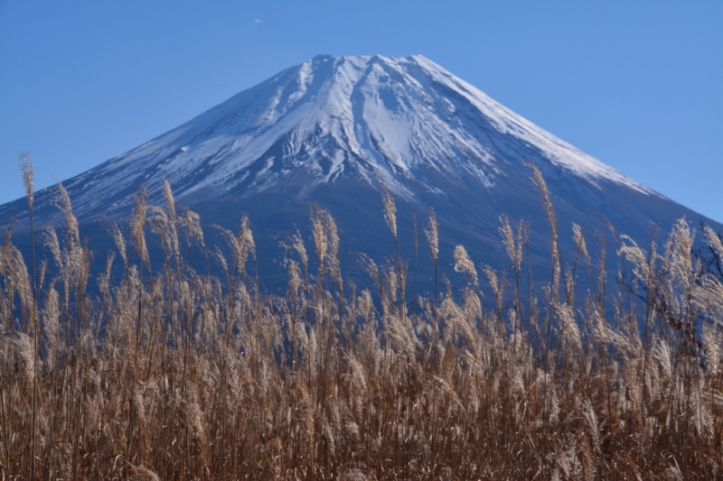 富士山画像作品