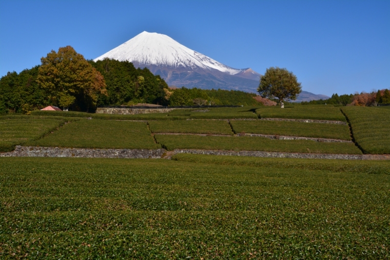 富士山画像作品