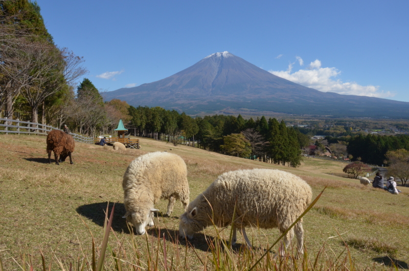 富士山画像作品